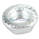 M8 Flange Nut
