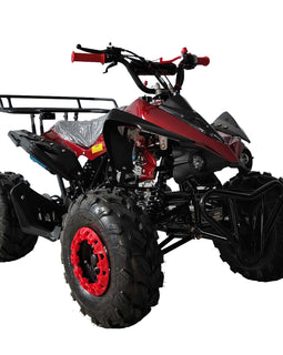 Free shipping! X-PRO Blast 125cc ATV with Automatic Transmission w/Reverse, LED Headlights, Big 19in/18in Tires!