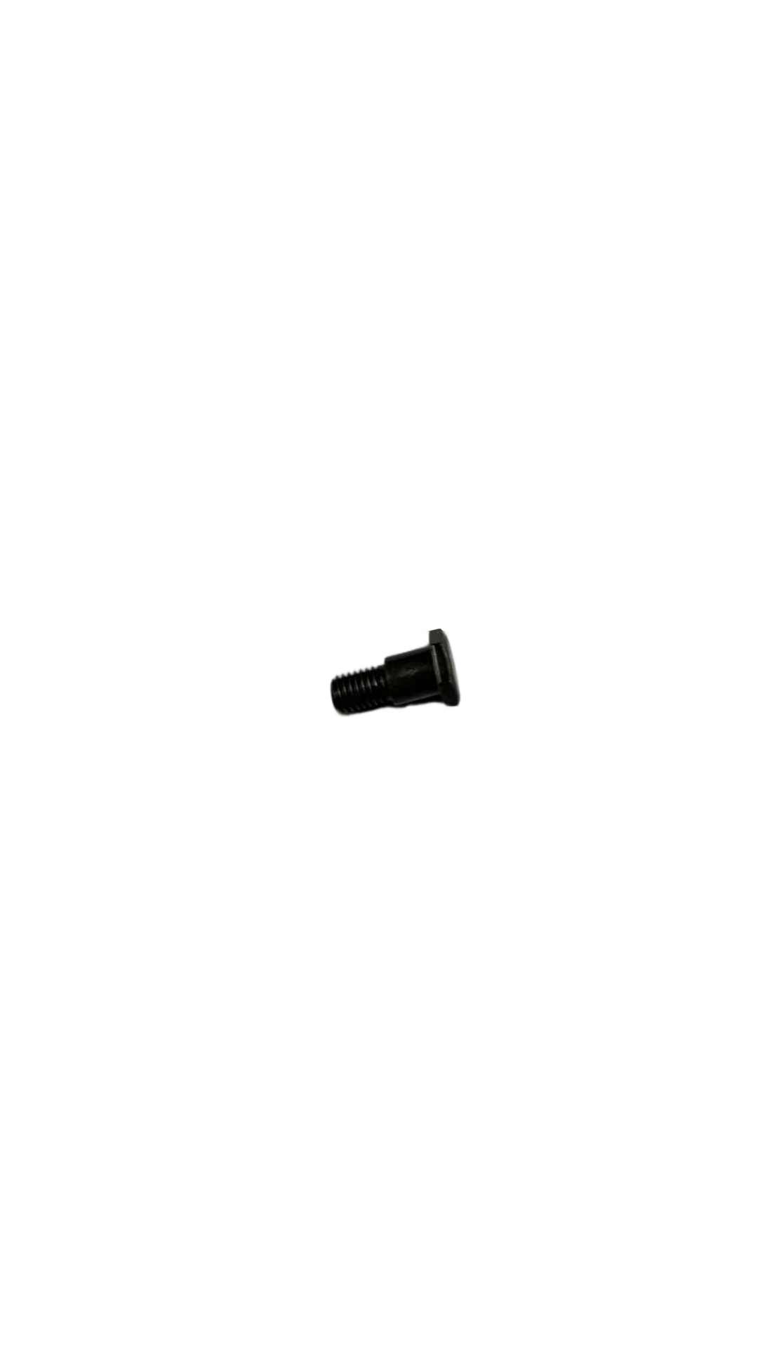Kick Stand Bolt
