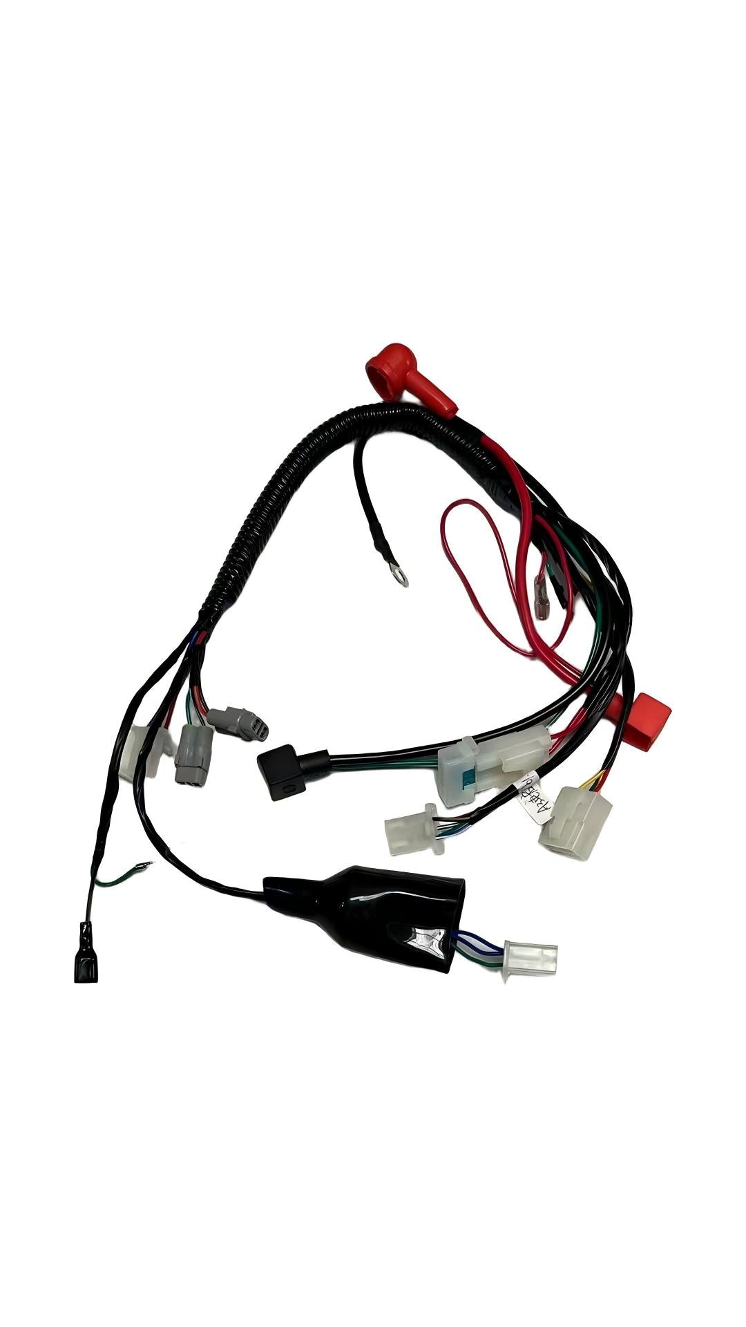Main Wire Harness