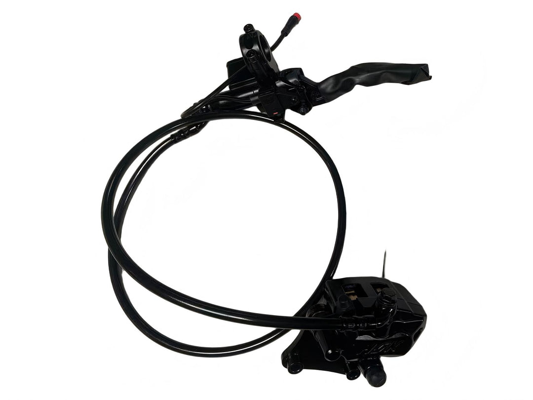 Front Brake Assy