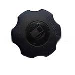 Gas Cap