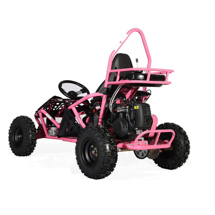 Free shipping! X-PRO Rover 50 49cc Go Kart with Pull Start, Rear Disc Brake, 6in Wheels!