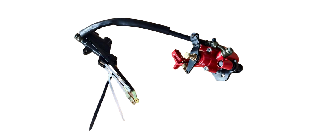Rear Brake Assy