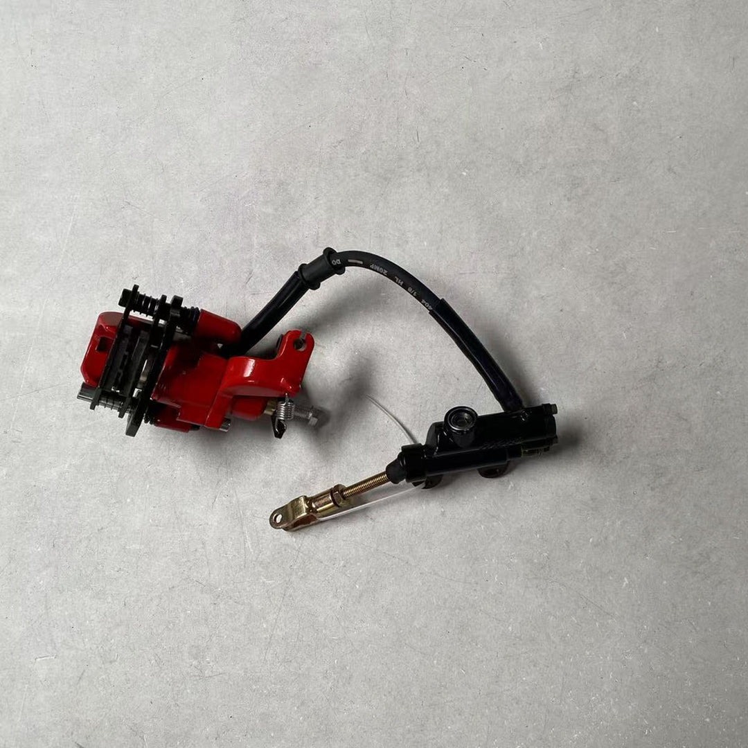 Rear Brake Assy