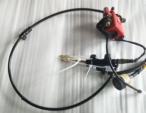 Rear Brake Assy