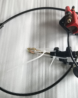 Rear Brake Assy