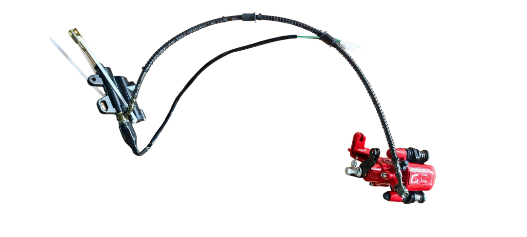 Rear Brake Assy