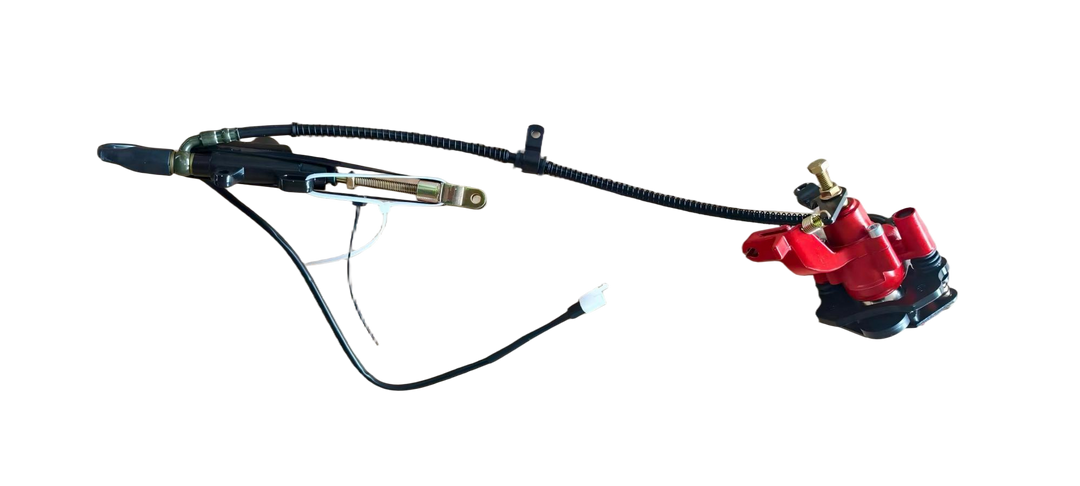 Rear Brake Assy