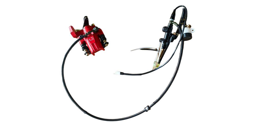 Rear Brake Assy