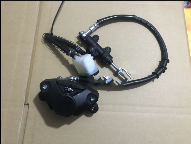 Rear Brake Assembly