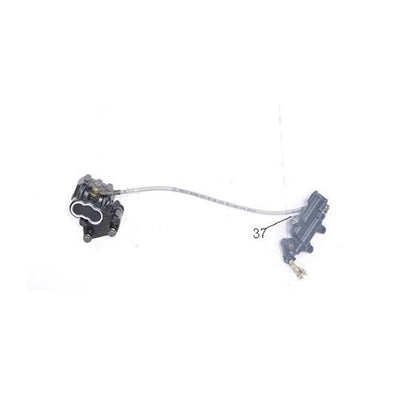 Rear Brake Assembly