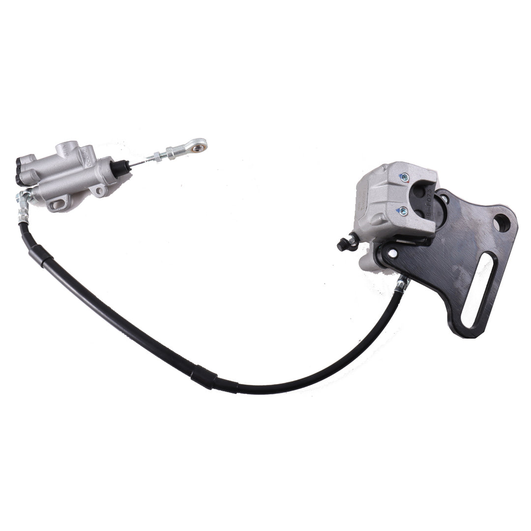 Rear Brake Assembly