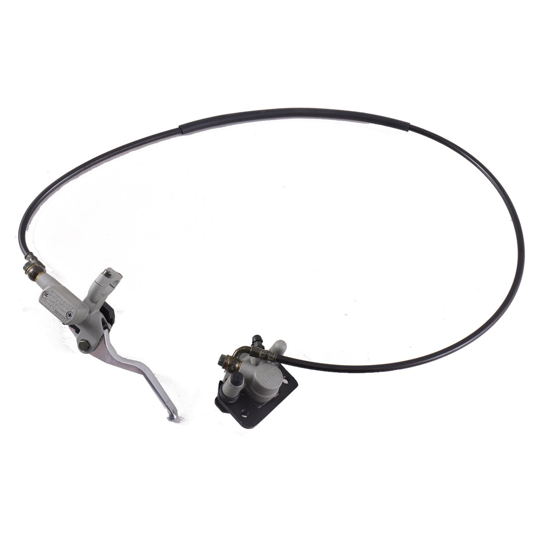 Rear Brake Assembly