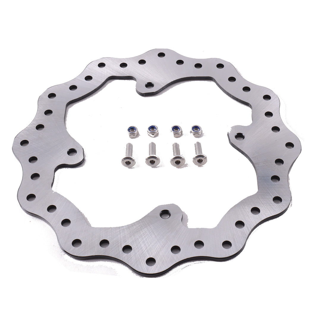 Rear Brake Rotor Assembly