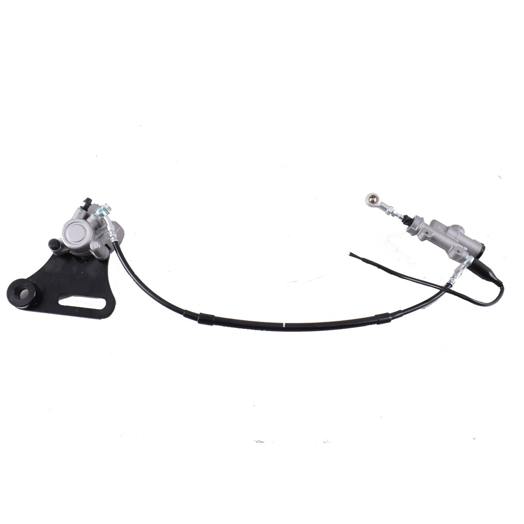 Rear Brake Assembly