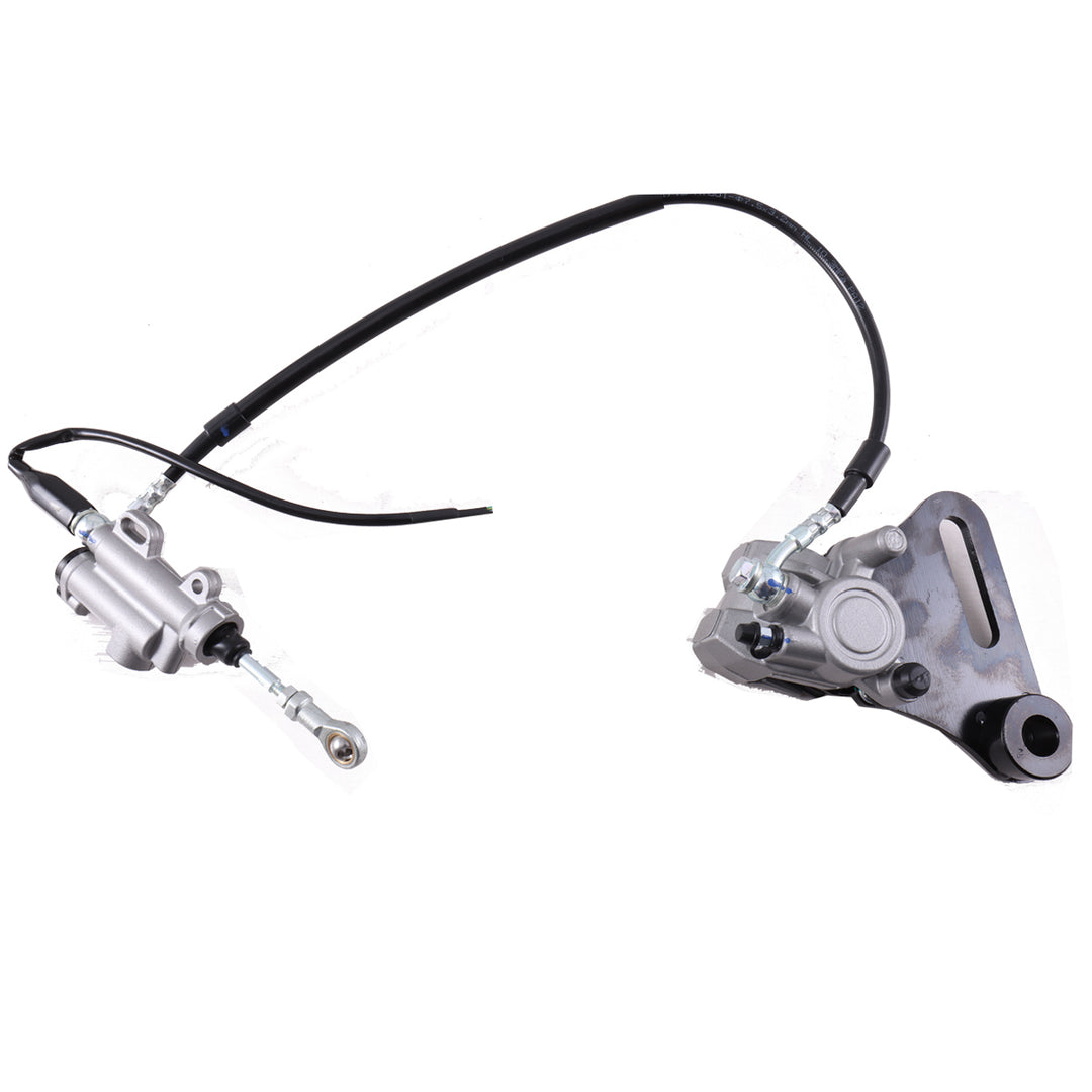 Rear Brake Assembly