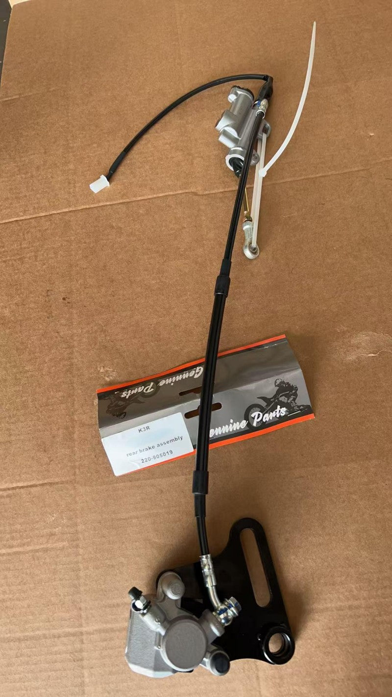 Rear Brake Assembly