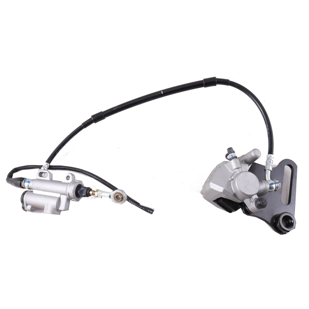 Rear Brake Assembly