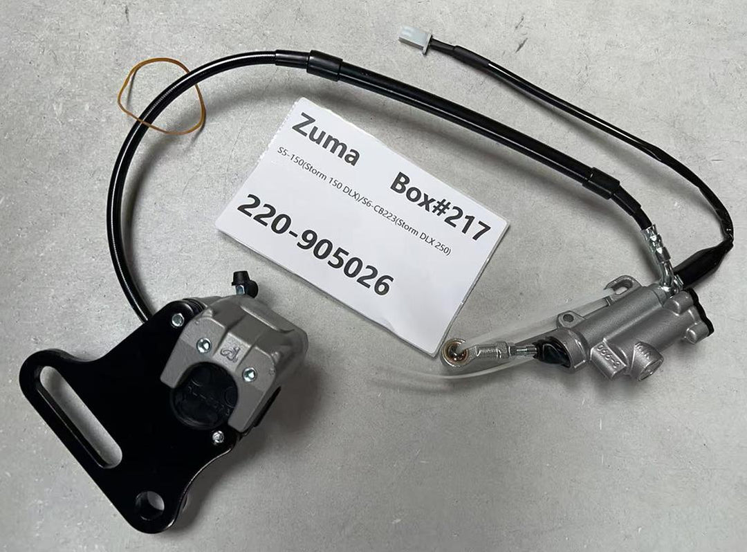 Rear Brake Assembly