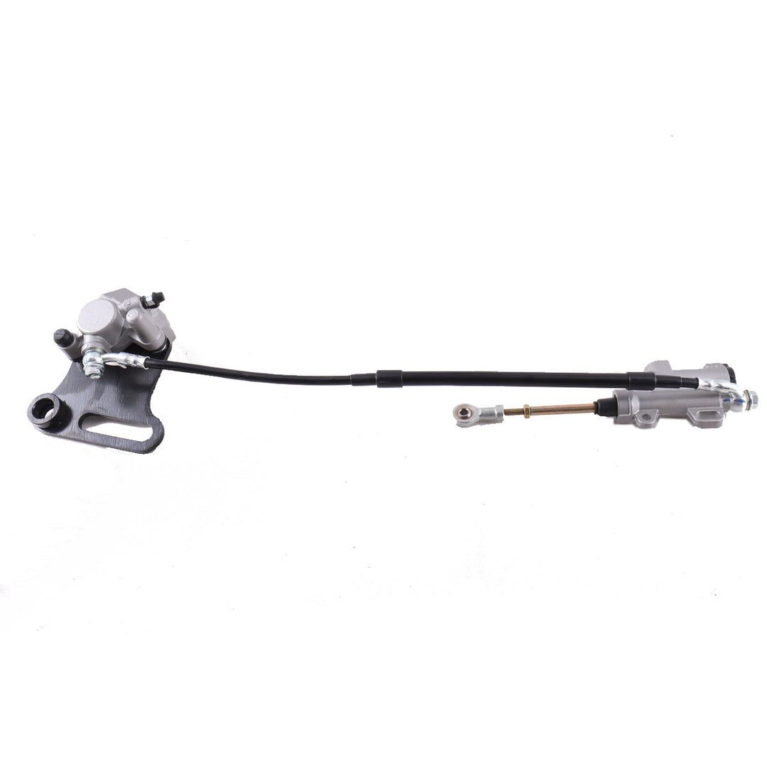Rear Brake Assembly
