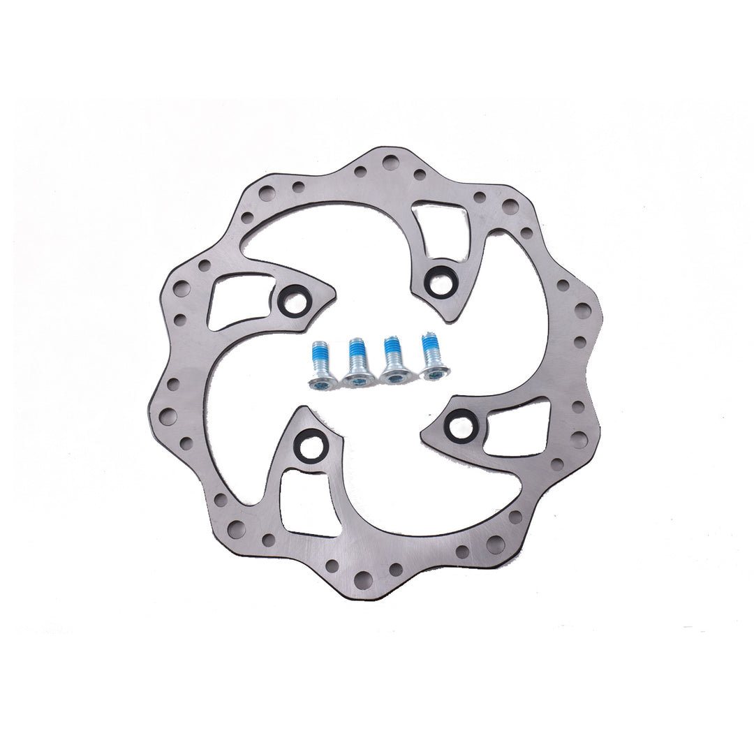 Front Brake Rotor Assembly