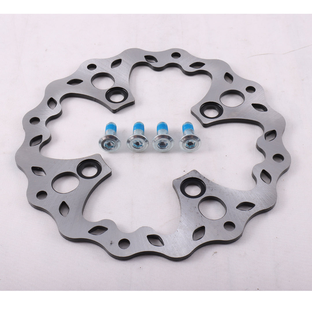 Rear Brake Rotor Assembly