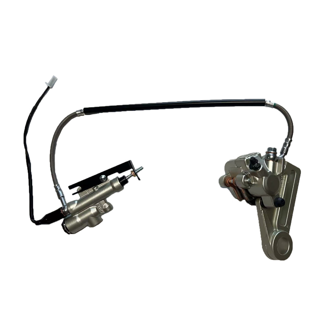 Rear Brake Assembly