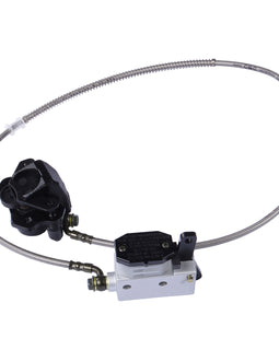 Rear Brake Assy