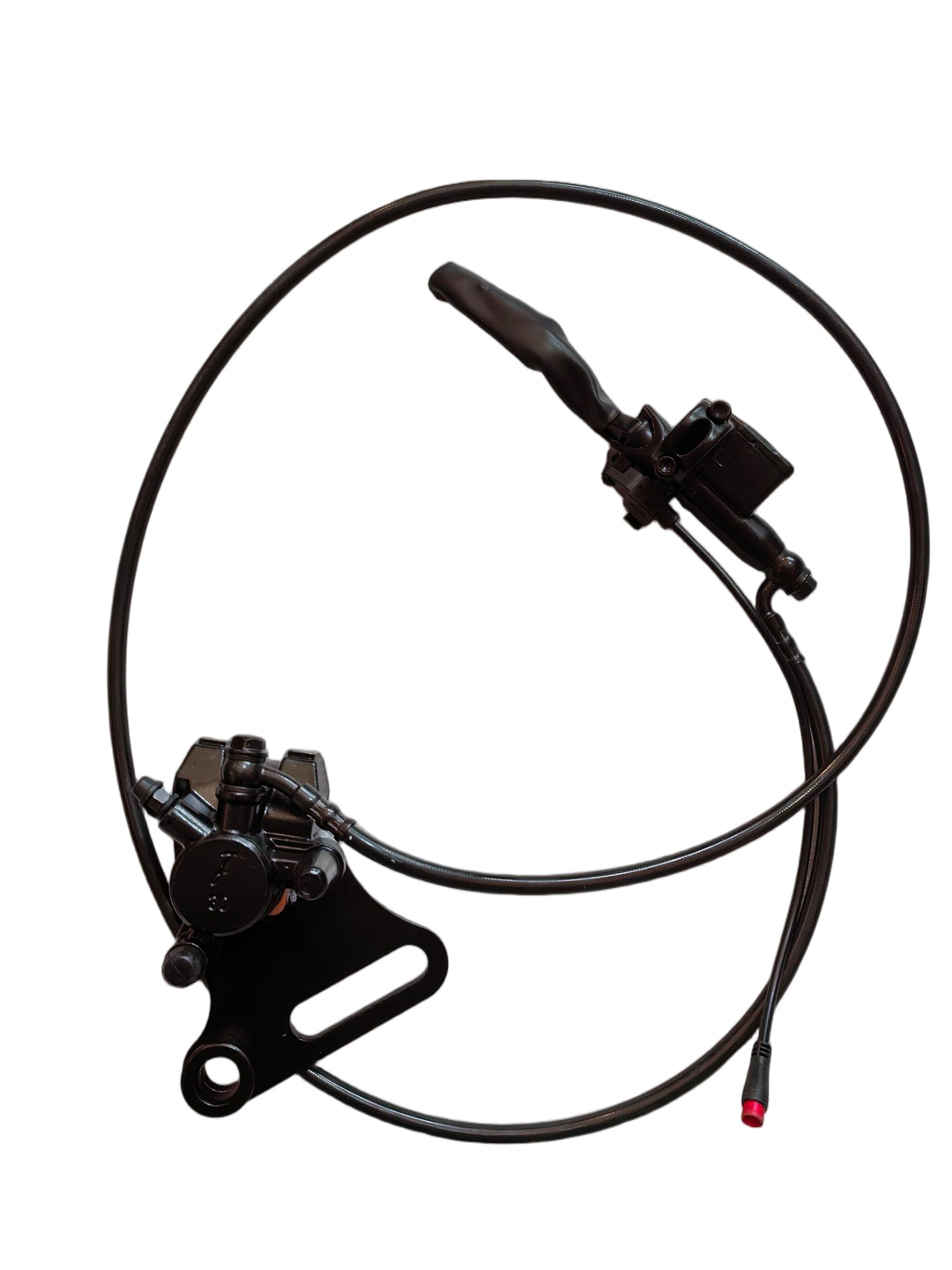 Rear Brake Assy