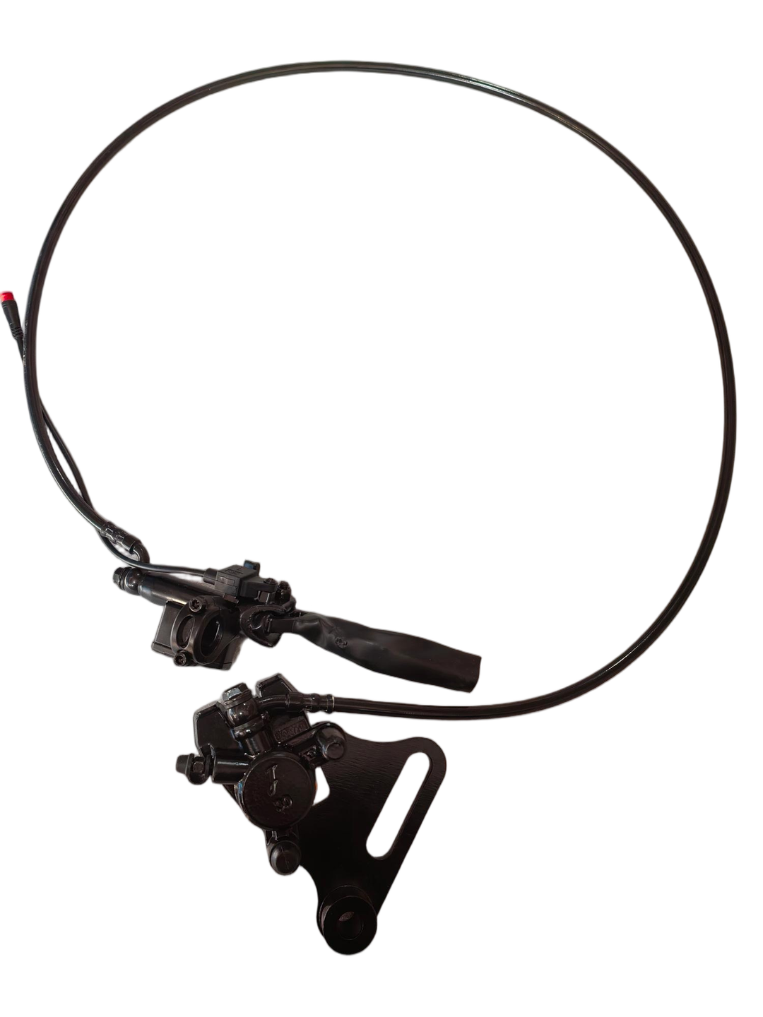 Rear Brake Assy