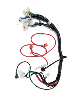 Wire Harness