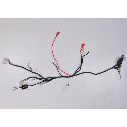 Wire Harness