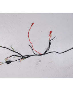 Wire Harness