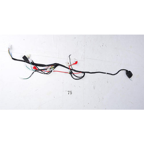 Wire Harness