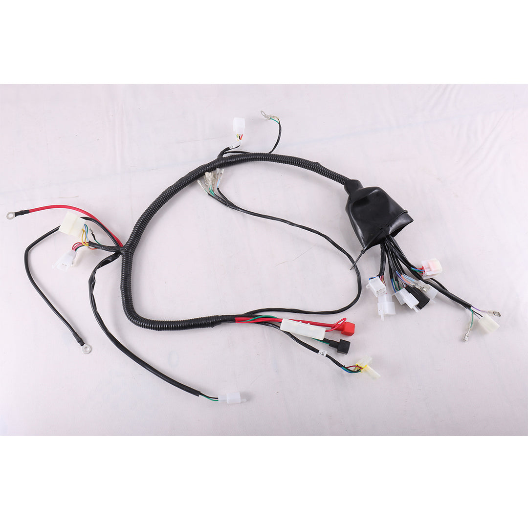 Main Wire Harness