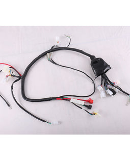 Main Wire Harness