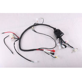 Main wire harness for DB-K011/X7-CB250F(TEMPLAR X)