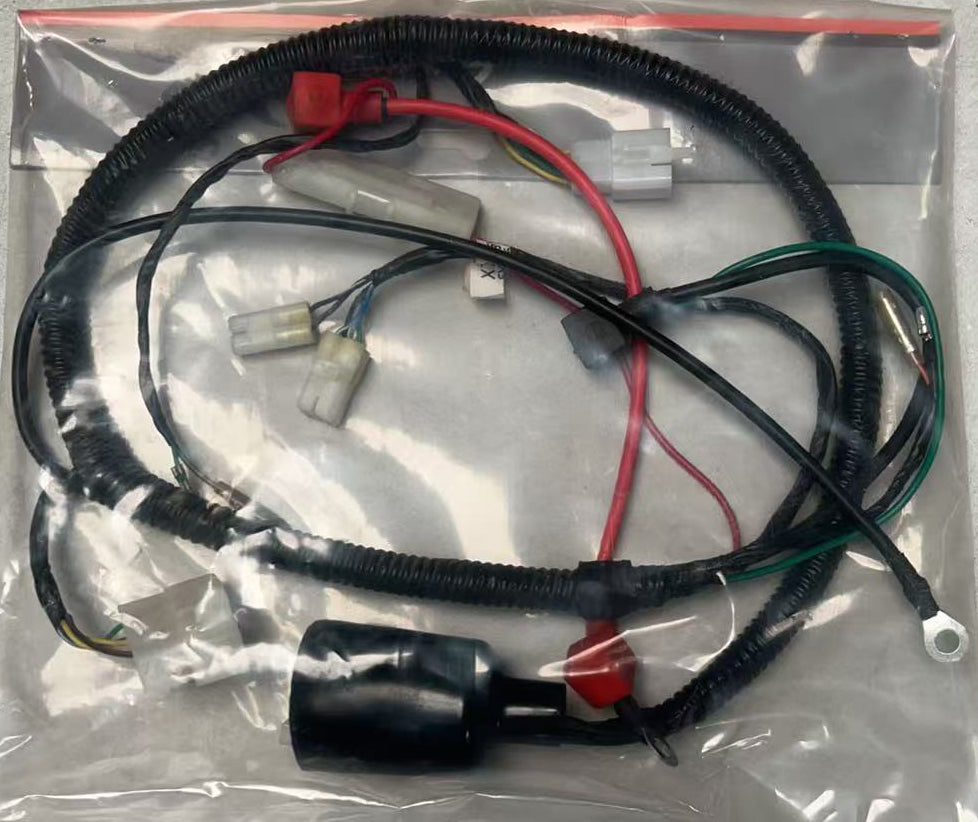Main Wire Harness