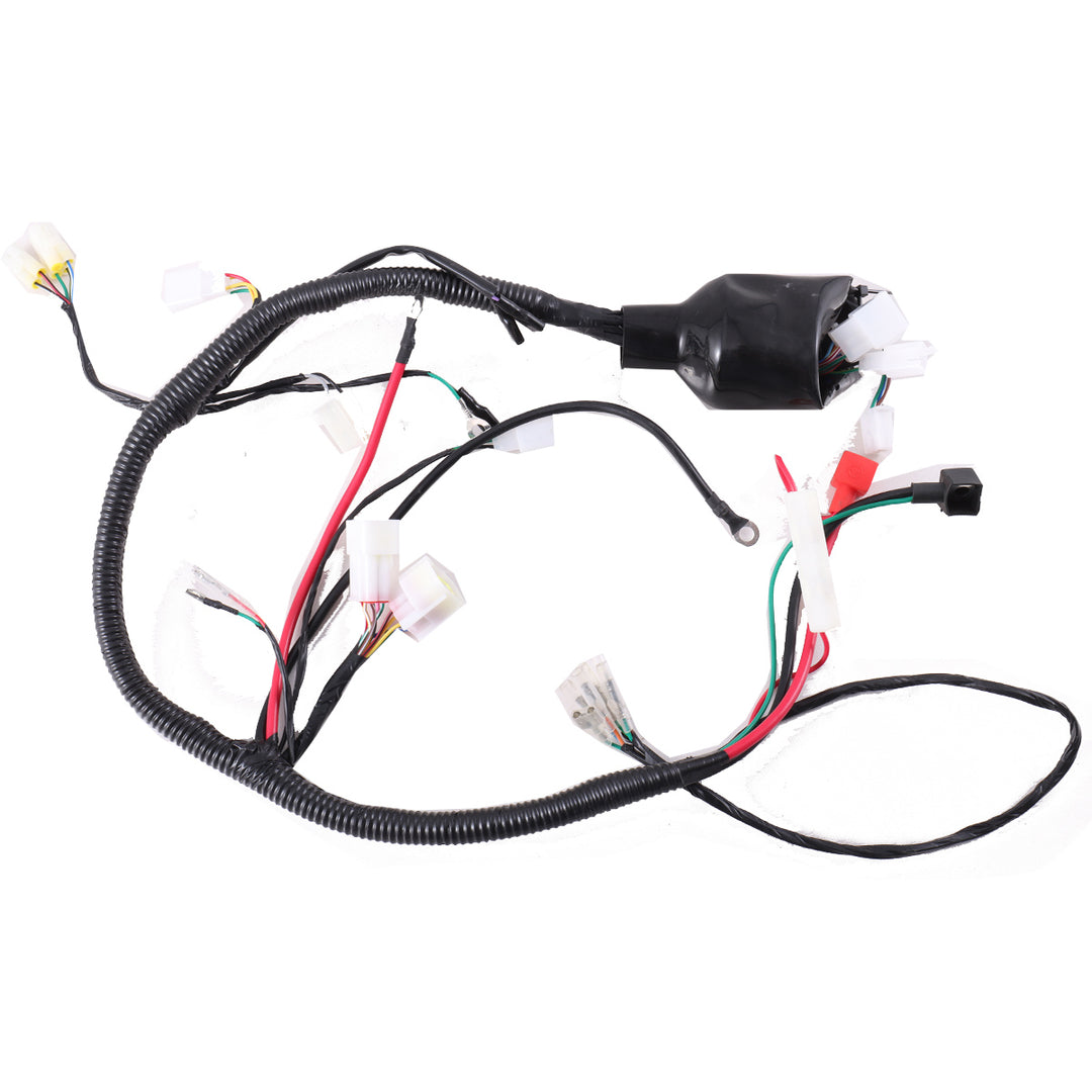 Main Wire Harness