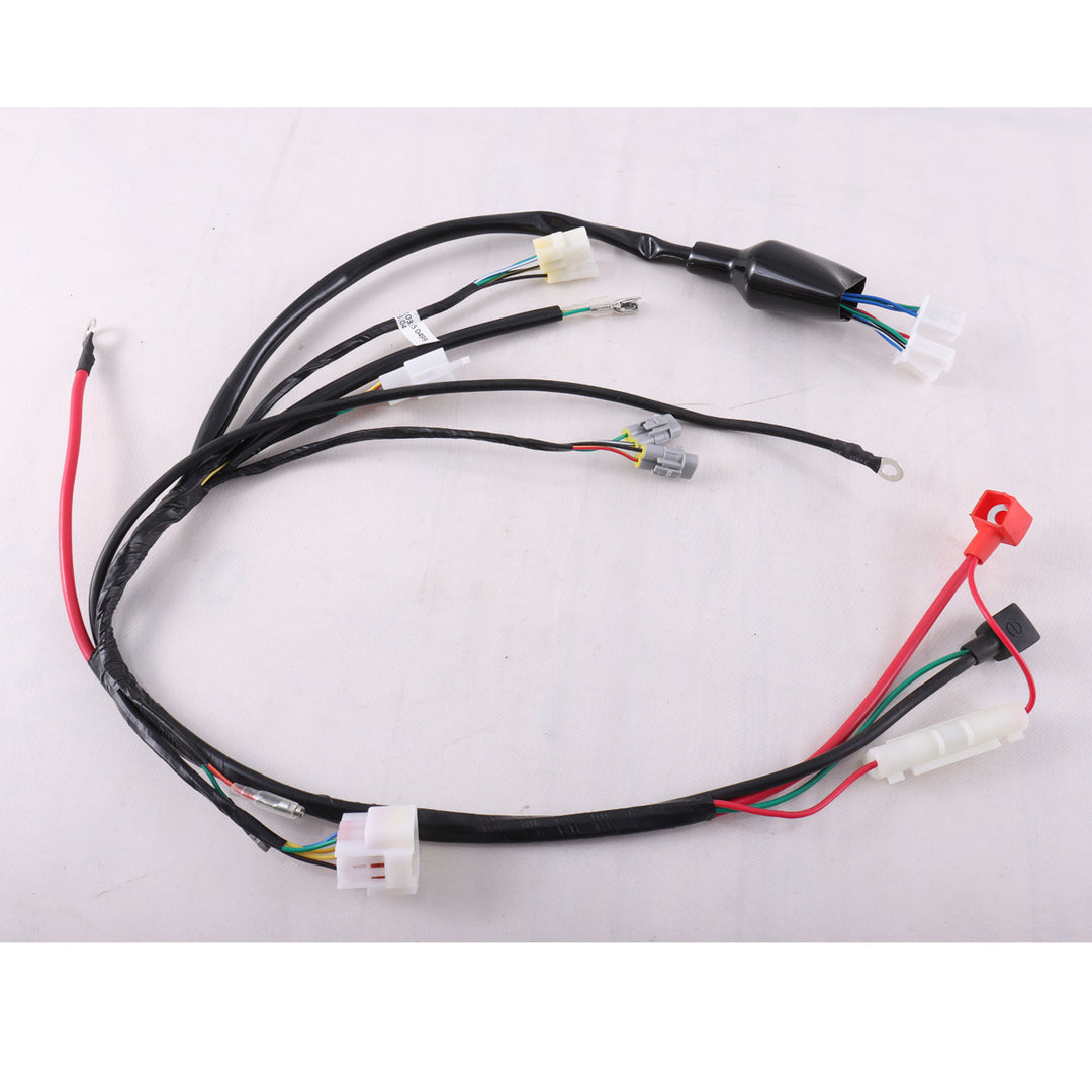 Main Wire Harness