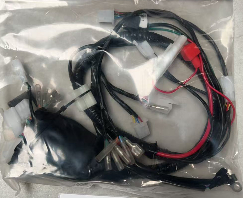 Main Wire Harness