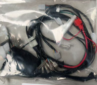 Main Wire Harness