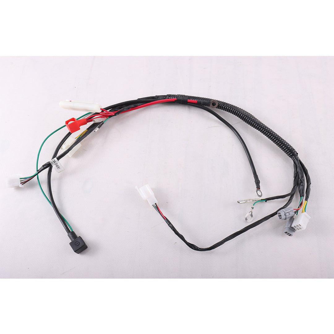 Main Wire Harness