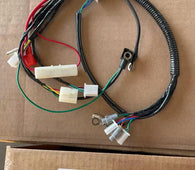 Main Wire Harness