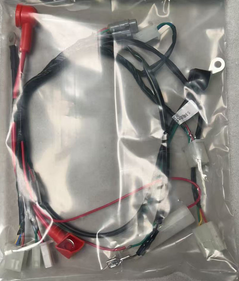 Main Wire Harness