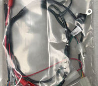 Main Wire Harness