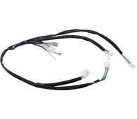 Main Wire Harness