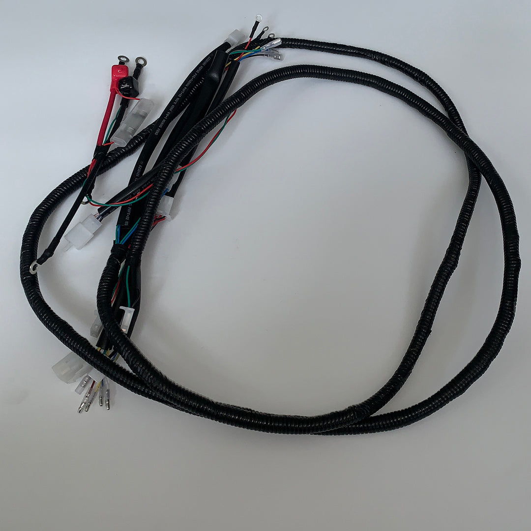 Main Wire Harness