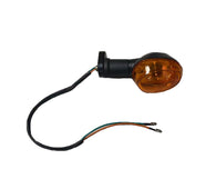 Rear Turn Light-L